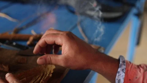 A Farmer Rolls Cigars Inside A Traditional Tobacco Barn Vinales Valley Cuba Vidéo 93489549