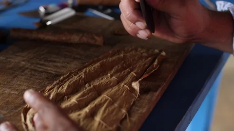 A Farmer Rolls Cigars Inside A Traditional Tobacco Barn Vinales Valley Cuba Vidéo 93489564