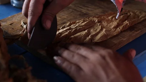 A Farmer Rolls Cigars Inside A Traditional Tobacco Barn Vinales Valley Cuba Vidéo 93489576