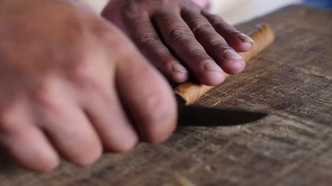 A Farmer Rolls Cigars Inside A Traditional Tobacco Barn Vinales Valley Cuba Vidéo 93489712