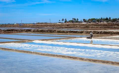 Farmer in Salt field Stock Photos
