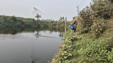 Farmer Scattering Fish Feed Pellets into Aquaculture Pond 動画素材 337152235