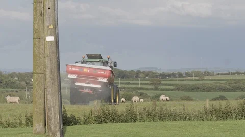 Farmer Scatters Flock of Sheep with Tractor on his Farm Vídeo Stock 120249232