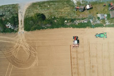 Farmer seeding, sowing crops at field. Sowing is the process of planting seed Foto stock