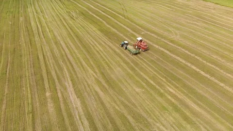 Farmer on a self propelled picker collecting mowed crushed hay in the back of a Vidéo 119515735
