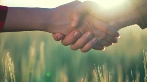 Farmer shaking hands field. Teamwork in farming. Farmer reach agreement on Stock Footage 317001715