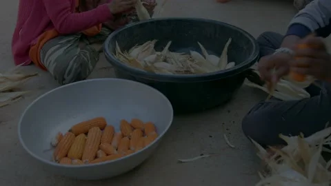 Farmer shelling corn Stock Footage 229690748