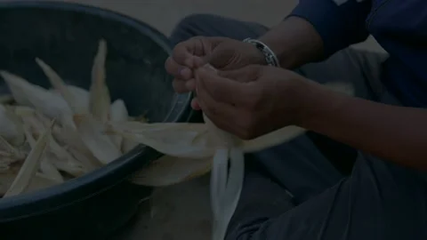 Farmer shelling corn in village Stock Footage 229690789
