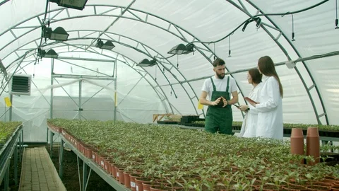 Farmer showing growing crops to scientists Stock Footage 127178359