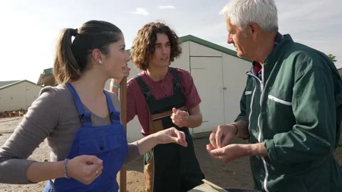 Farmer showing work to two apprentices Stock Footage 130369406