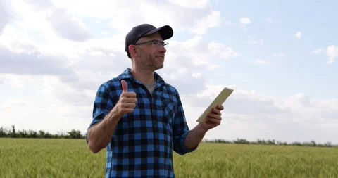 Farmer shows thumbs up while holding tablet in wheat field. Positive Stock Footage 346753507