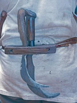 Farmer with sickle Stock Photos