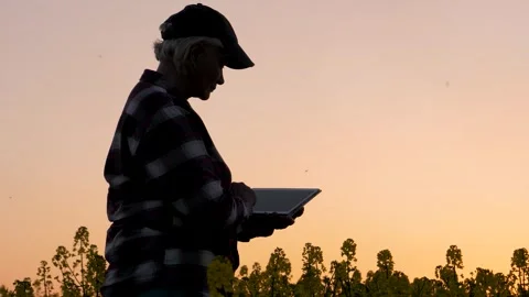Farmer silhouette using tablet technology at sunset Stock Footage 331576374