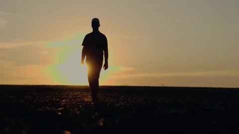 Farmer silhouette walks through fields at dusk to check on crops in evening Stock Footage 257955101