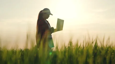 Farmer silhouette work field laptop, sunset, count expenses income, online Stock Footage 243597002