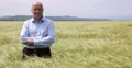 Farmer Smile Satisfied Wheat Crop Cereal Harvest Confident Agriculture Investor 4k or 4k+ Resolution