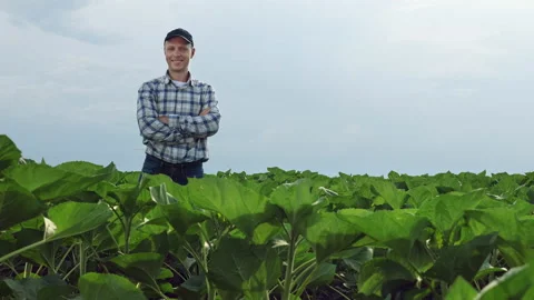 Farmer smiles while standing in a field Stock Footage 133322701