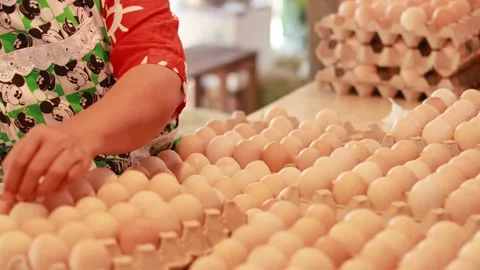 Farmer sorting and packaging fresh chicken eggs in cardboard trays at a marke Stock Footage 333486123