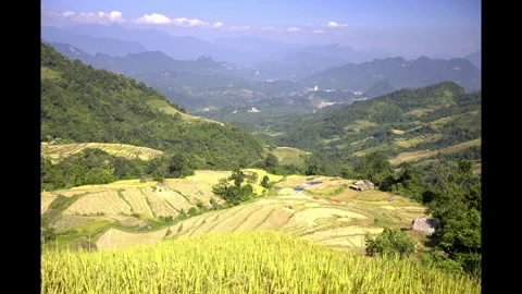 Farmer Sorting Harvest Sacks on Ha Giang Rice Terraces Stock-Footage 347573309