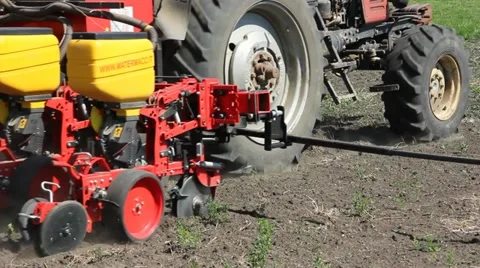 Farmer sowing corn Video stock 10918580