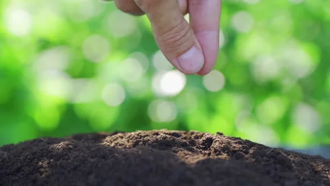 Farmer sowing seed Stock Footage 201461960