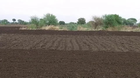 Farmer sowing seeds with automatic seed cum fertilizer drill machine Stock Footage 77572698
