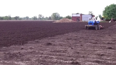 Farmer sowing seeds with automatic seed cum fertilizer drill machine Stock Footage 77572773