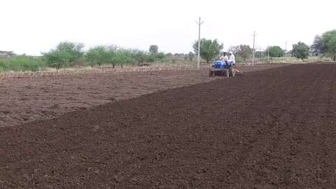 Farmer sowing seeds Stock Footage 77572743