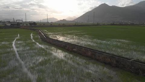 A farmer sows rice with a view of the mountains and sky. Stock Footage 118638028