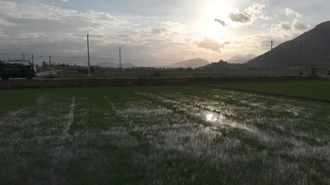 A farmer sows rice with a view of the mountains and sky. Stock Footage 118641274