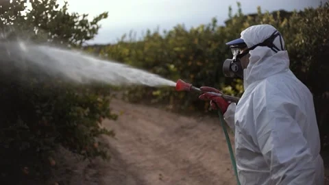 Farmer spray insecticide on lemon trees agricultural field in Spain 스톡 동영상 234285403