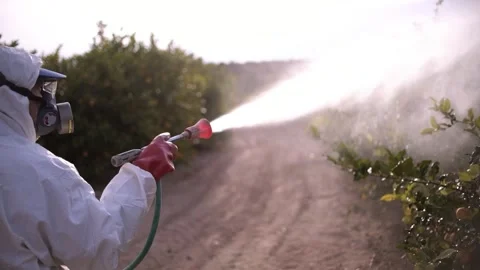 Farmer spray insecticide on lemon trees agricultural field in Spain Stock-Footage 234285932