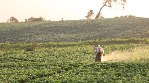 Farmer spraying Stock Footage 32675308