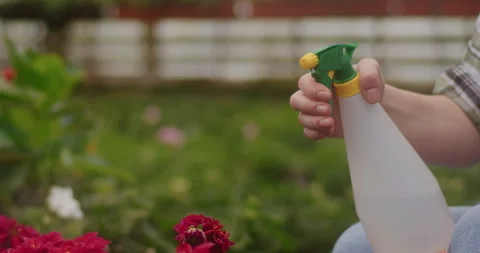 Farmer Sprinkling Water On Flowers. Stock Footage 246830962