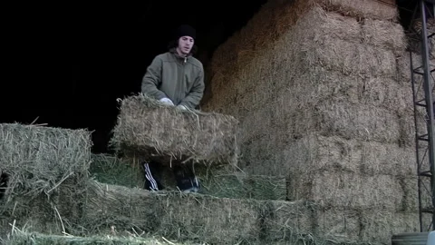 Farmer Stacking Hay Bales In Barn Gaiman Patagonia Stock Footage 336220051