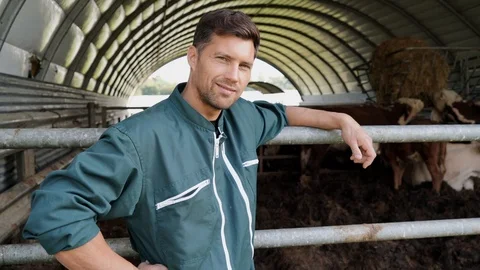Farmer standing in barn, cattle in background Stock Footage 117035342