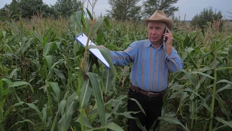 Farmer Standing in a Corn Field Talking On the Phone Keep a Folder For Documents Video stock 80860894