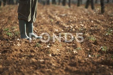 Farmer Standing On Fertile Soil In Farm Stock Photos