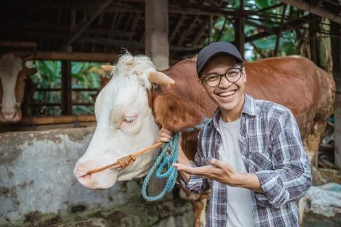 A farmer standing in front of the cow's stable with the cow Stock Photos