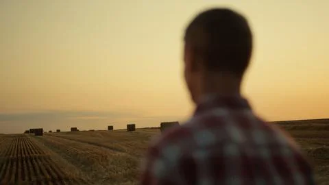 Farmer standing haystack field golden sunset back view. Agriculture concept Stock Photos