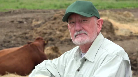 A farmer standing with his cows in the field Stock Footage 50769692