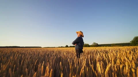 Farmer standing in wheat field Stock Footage 135604521