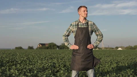A farmer stands in a soybean field, checking his harvest. Vídeo Stock 136819735