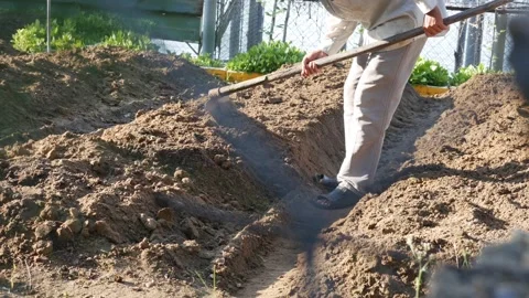 A farmer stands on a tilled patch of soil, hoe in hand, removing weeds from the Vídeo Stock 308870731