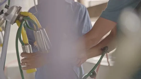 Farmer starting the milking machine. Video stock 131883544