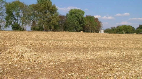 Farmer Starting Work Day Stock Footage 91629