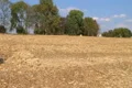 Farmer Starting Work Day Footage