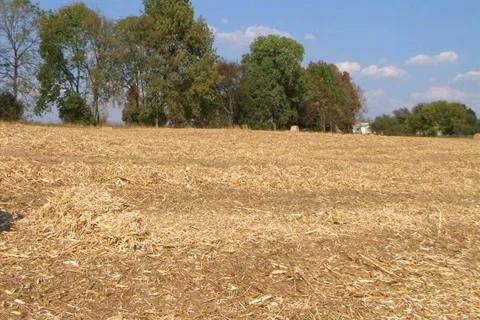 Farmer Starting Work Day 動画素材 2759305