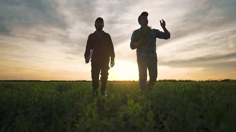 Farmer steps on field plants with boots. Man carries laptop close behind. Crop Stock Footage 346239488