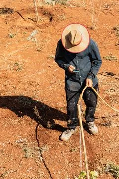 Farmer in a straw hat and dark work clothes holding a garden hose while walking Stock Photos